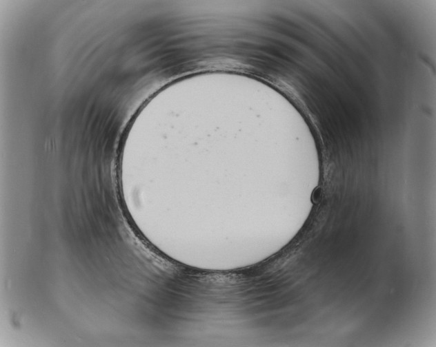 X0000102220947200808221243