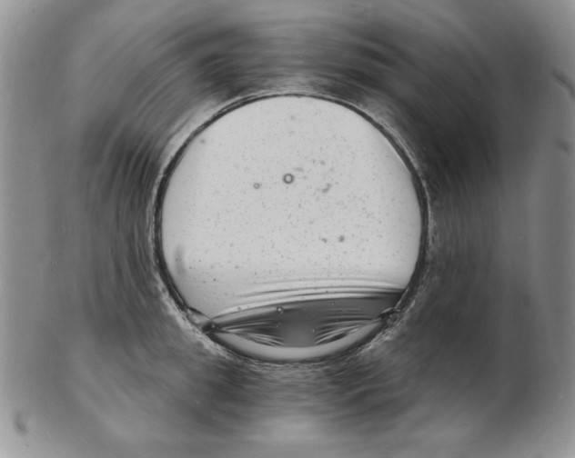 X0000102220949200808221243