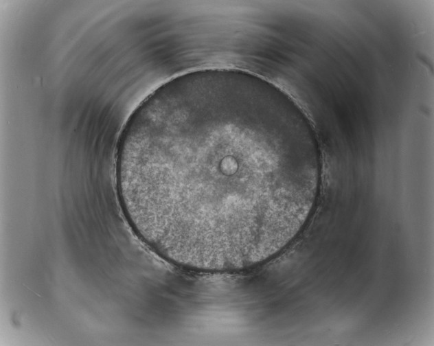 X0000102220950200808221243