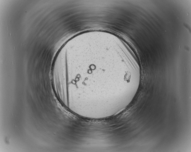 X0000102220951200808221243