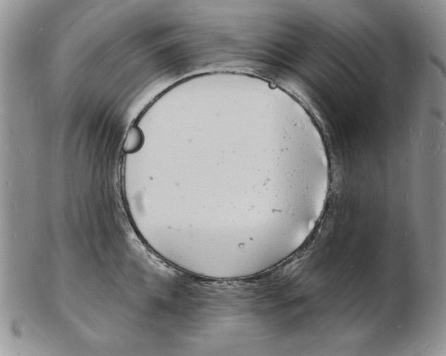 X0000102220952200808221243