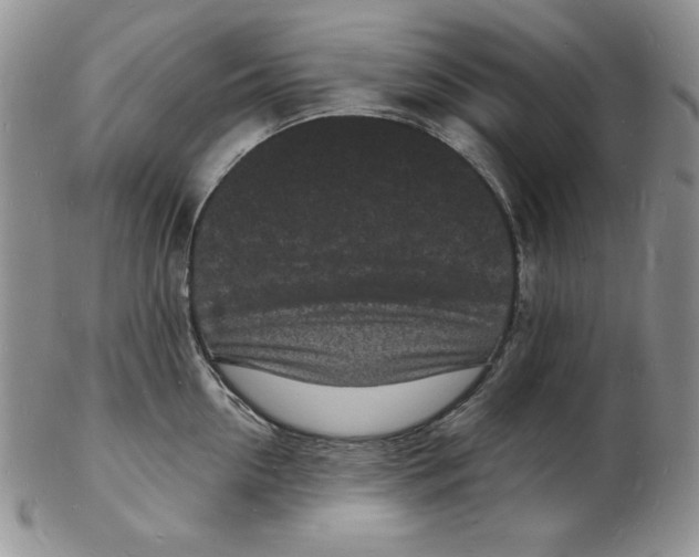 X0000102220954200808221243