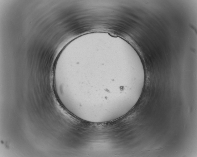 X0000102220955200808221243