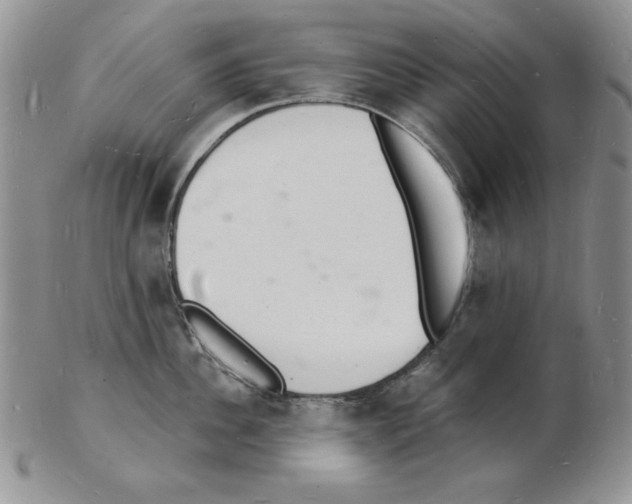 X0000102220956200808221243