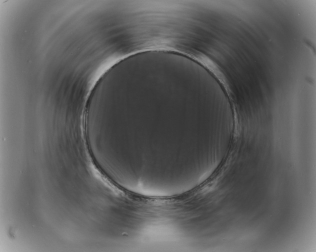 X0000102220958200808221243