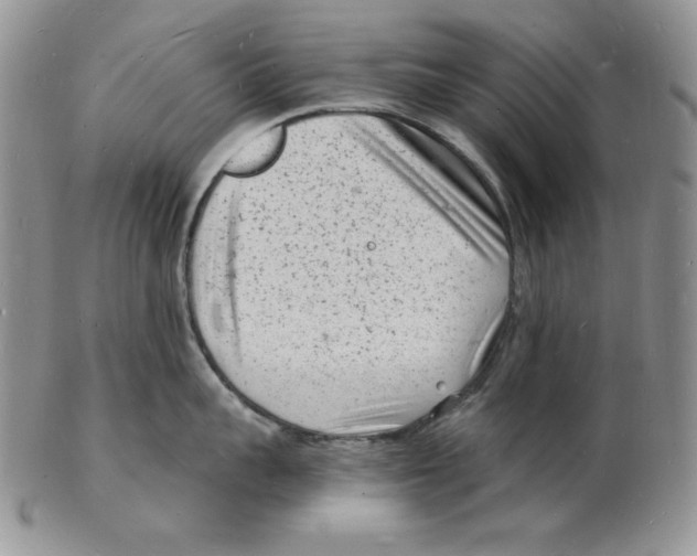 X0000102220959200808221243