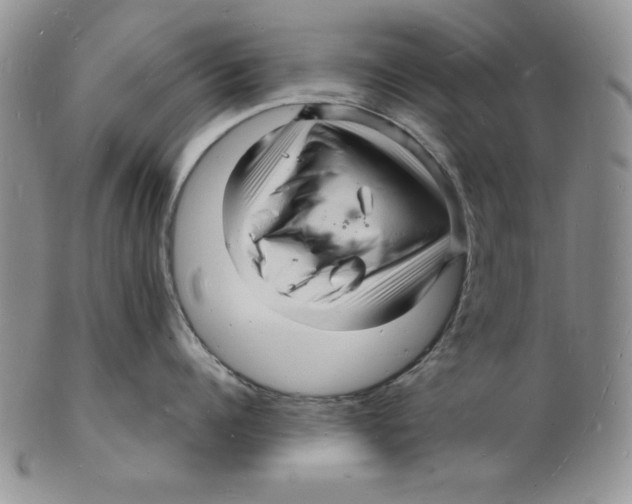 X0000102220960200808221243