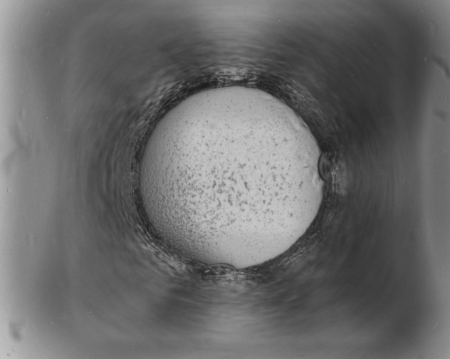 X0000102220961200808221242