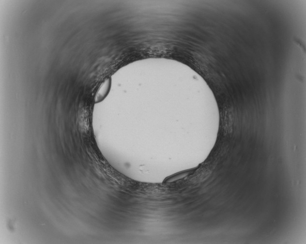 X0000102220962200808221242