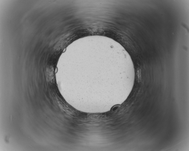 X0000102220963200808221242