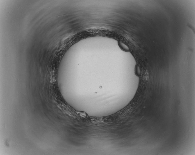 X0000102220965200808221242