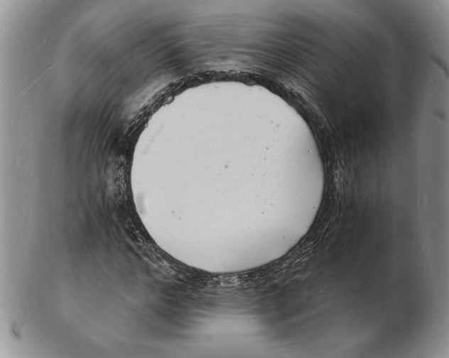 X0000102220968200808221242