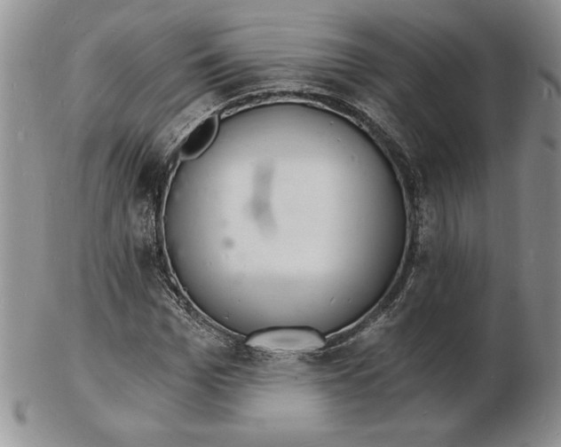 X0000102220969200808221242