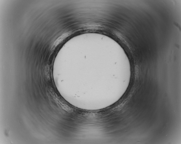 X0000102220970200808221242