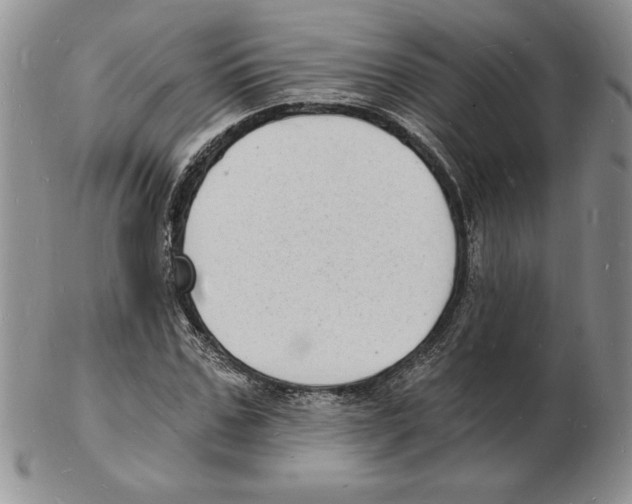 X0000102220971200808221242