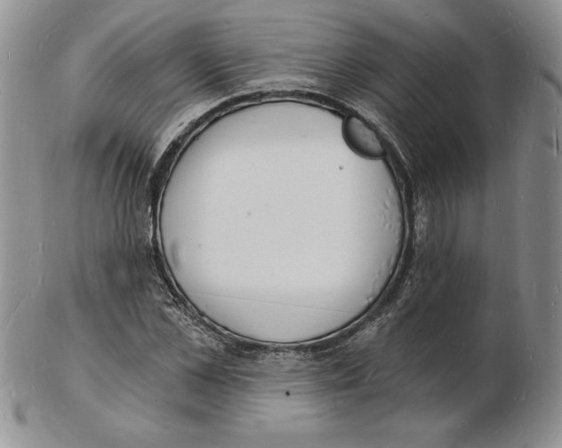 X0000102220973200808221242