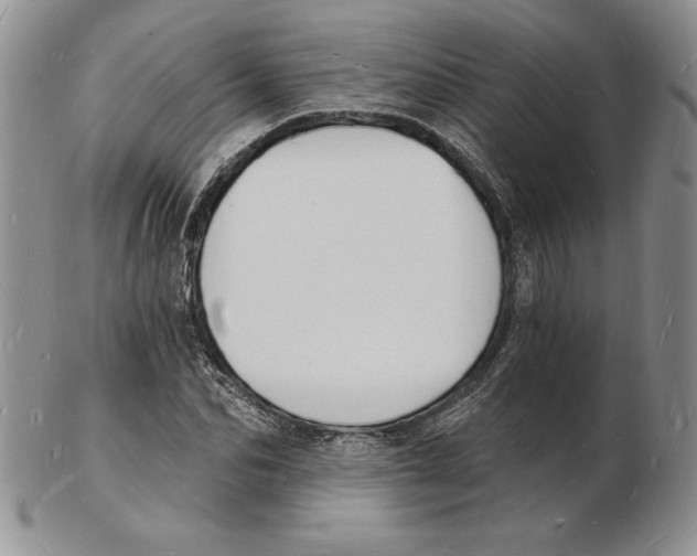 X0000102220974200808221242