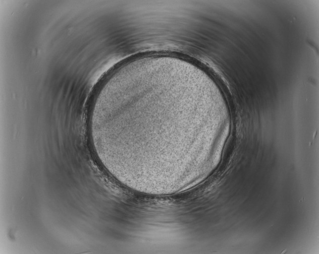 X0000102220975200808221242