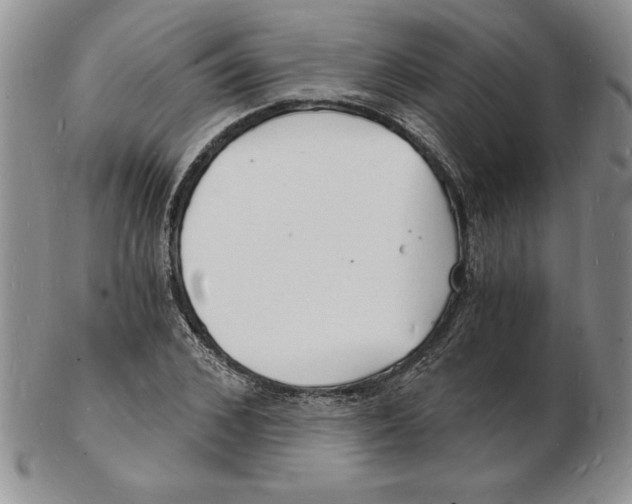 X0000102220976200808221242