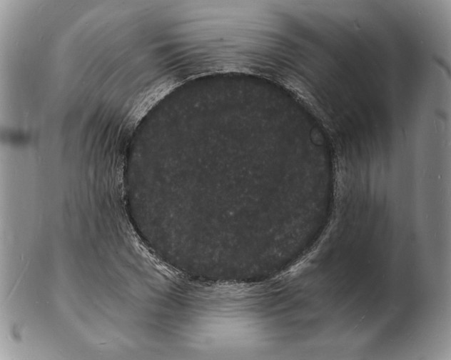 X0000102220977200808221242