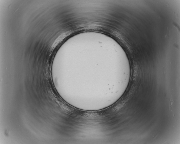 X0000102220978200808221242