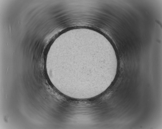 X0000102220979200808221242