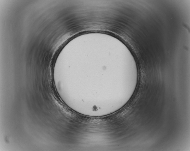 X0000102220982200808221242