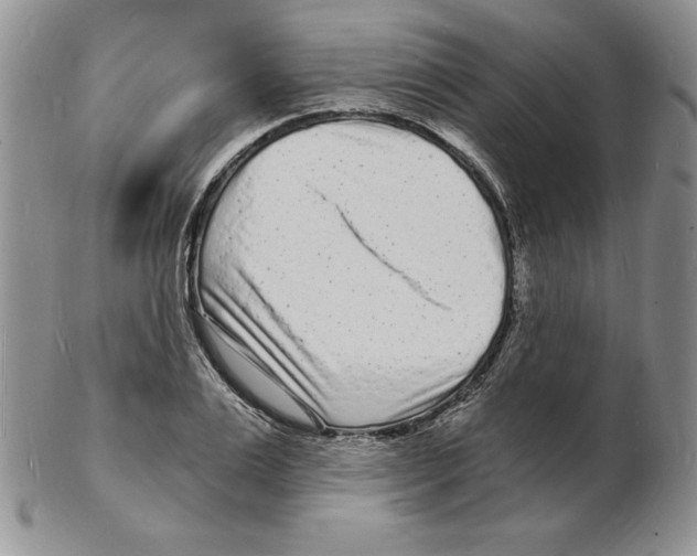 X0000102220983200808221242