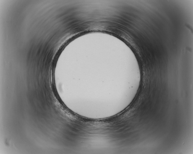 X0000102220984200808221242