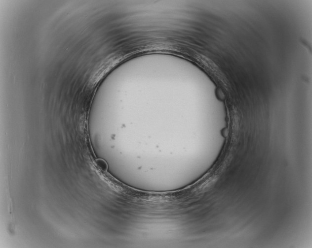 X0000102220985200808221242