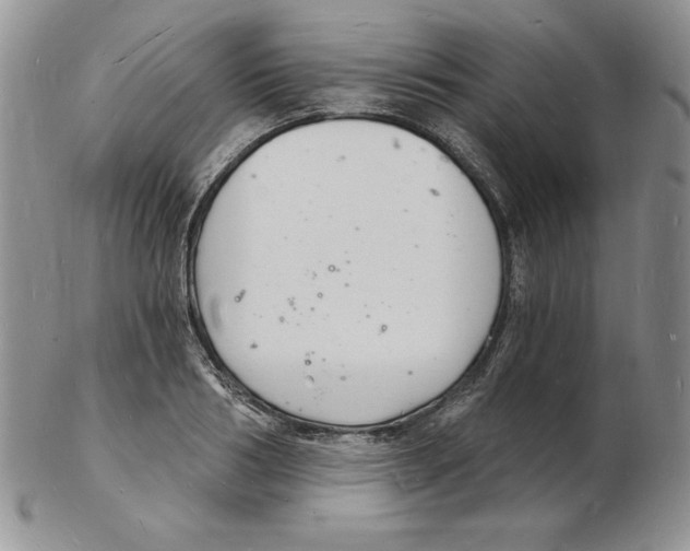 X0000102220986200808221242