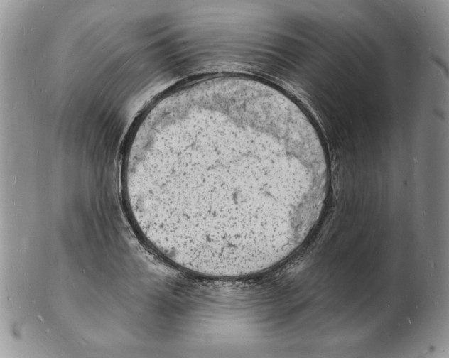 X0000102220987200808221242