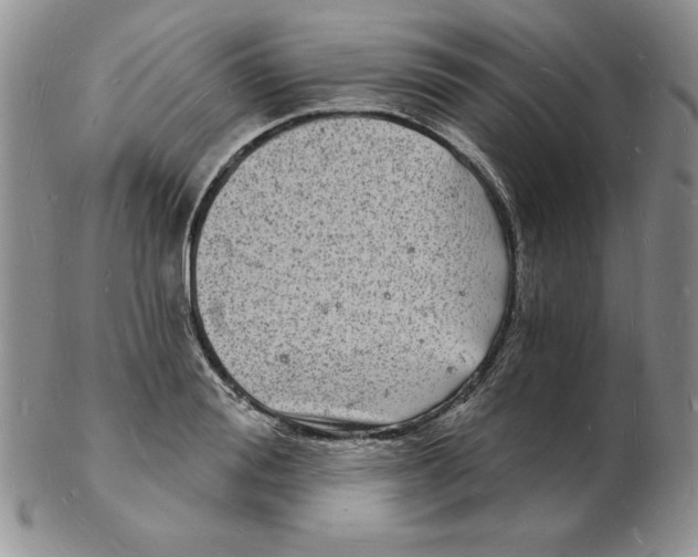 X0000102220988200808221242