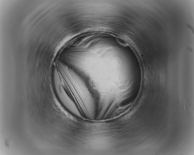 X0000102220989200808221242