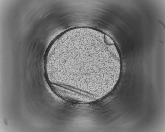 X0000102220991200808221242