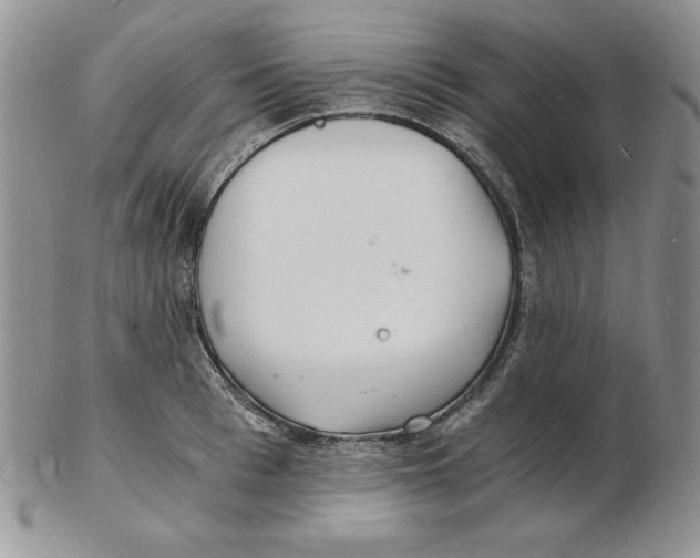 X0000102220993200808221242