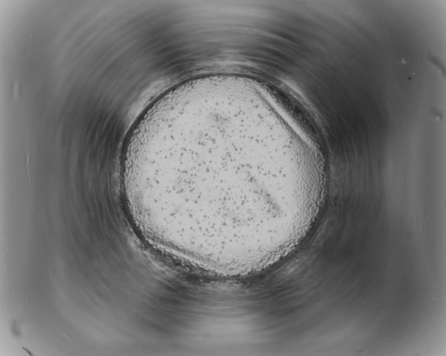 X0000102220994200808221242