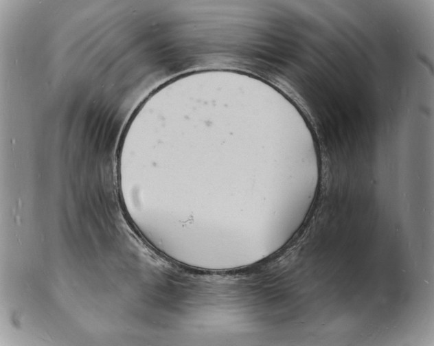 X0000102220996200808221242