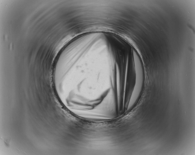 X0000102220997200808221242