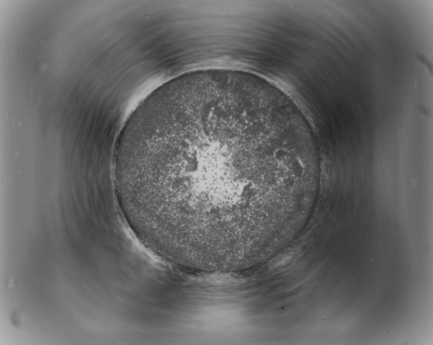 X0000102220998200808221242