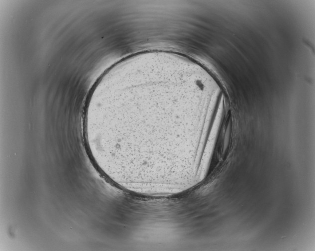 X0000102220999200808221242