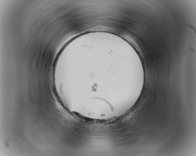 X0000102221000200808221242