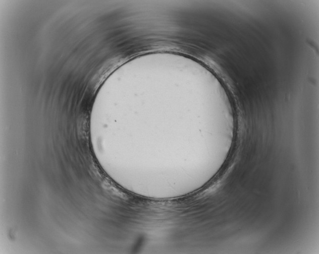 X0000102221001200808221242