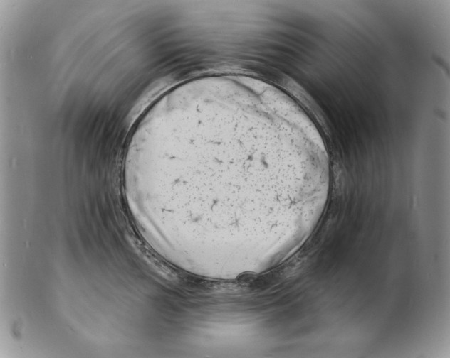 X0000102221002200808221242