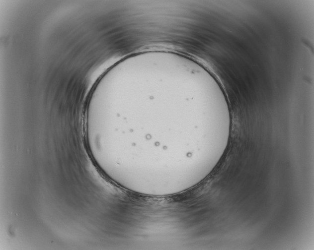 X0000102221003200808221241