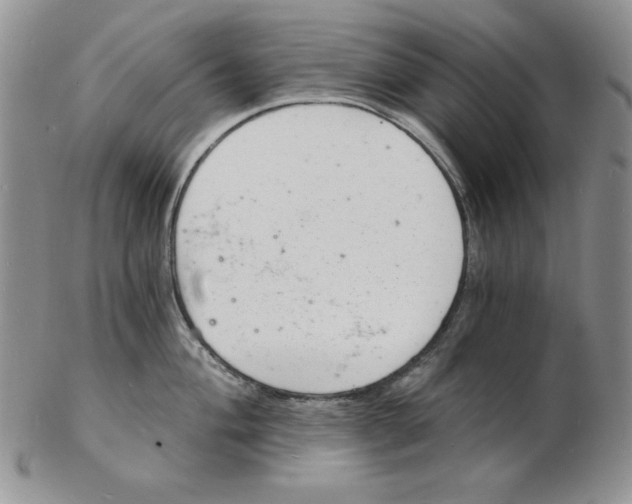 X0000102221004200808221241