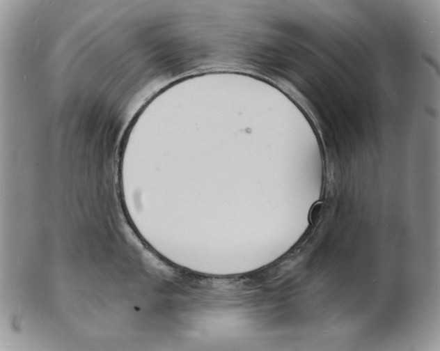 X0000102221005200808221241