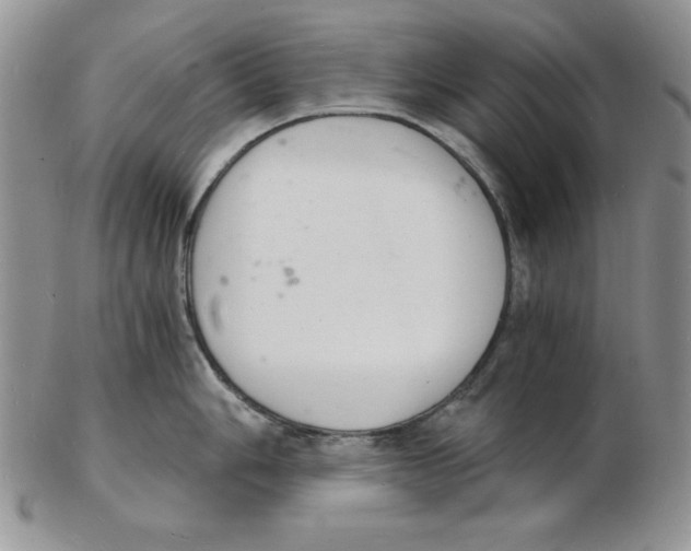 X0000102221006200808221241