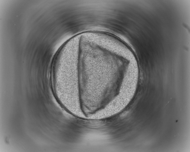 X0000102221007200808221241