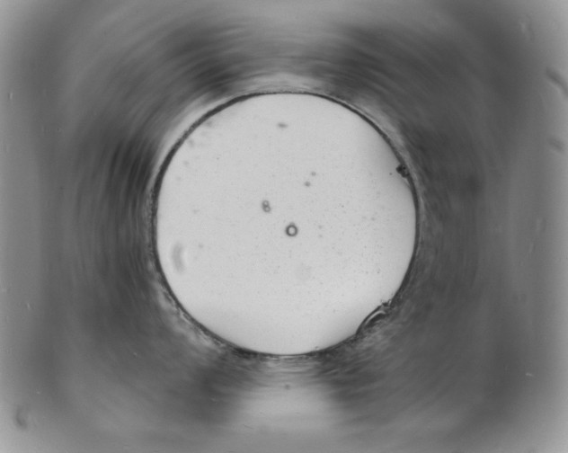 X0000102221008200808221241